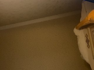 에로틱 한 영상 채팅 senxual-