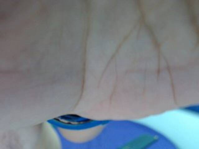 방송 스크린 샷 sexycarol