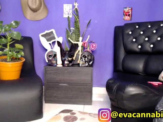 방송 스크린 샷 evacannabithc