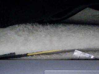 에로틱 한 영상 채팅 sexysapphiresweet