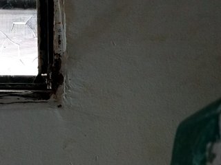에로틱 한 영상 채팅 shelbyn