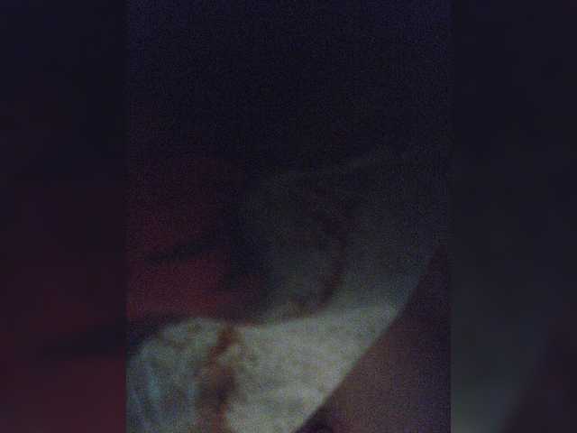 방송 스크린 샷 small-cat