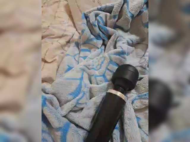 방송 스크린 샷 small-cat