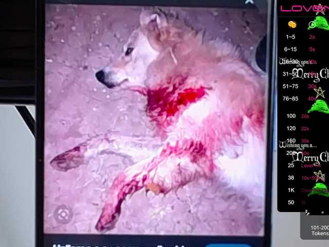 방송 스크린 샷 sofiaclaus