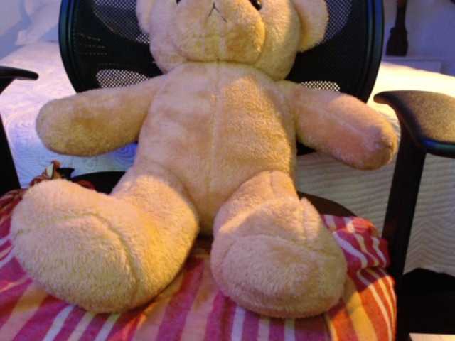 방송 스크린 샷 SofiaZapata