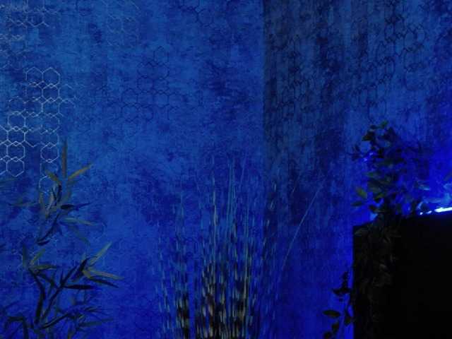 방송 스크린 샷 StaceyDi