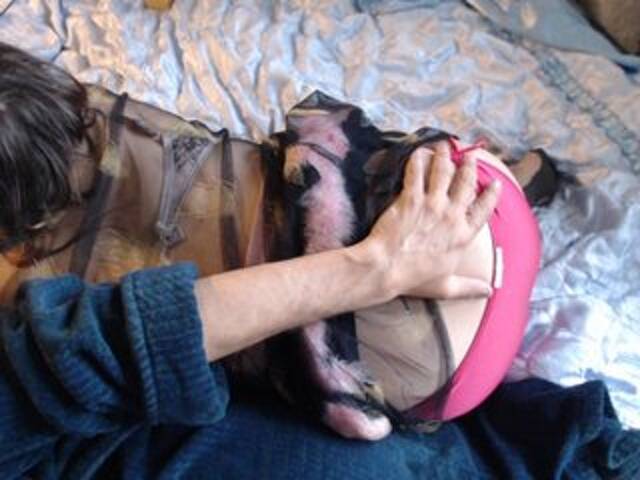 방송 스크린 샷 Masha_Ivanova