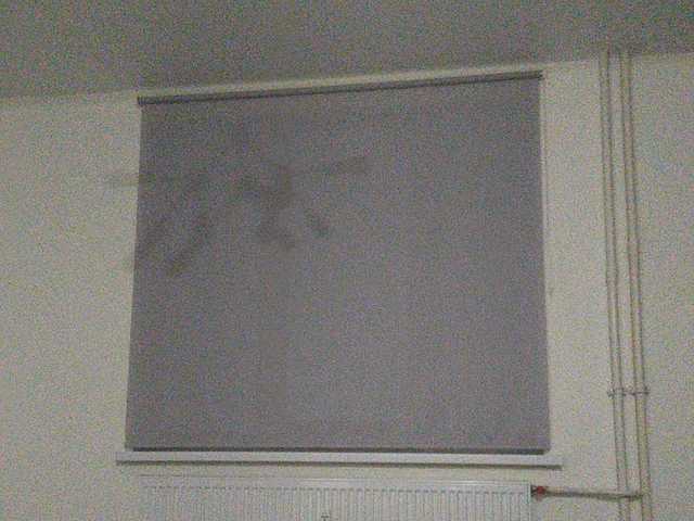 방송 스크린 샷 Stasyaa