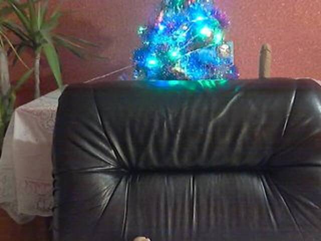 방송 스크린 샷 elenamor