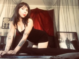 에로 화상 채팅 Thelilykitten