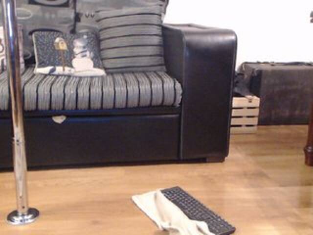 방송 스크린 샷 TiffanyTaylor