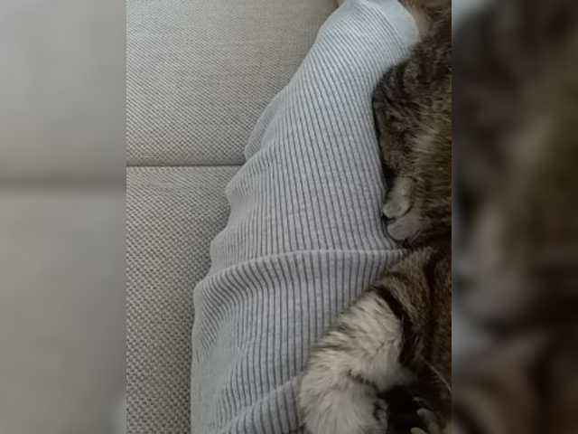 방송 스크린 샷 GolayaPravda