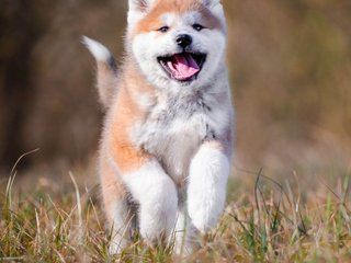 에로틱 한 영상 채팅 Val309a