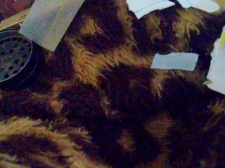 에로틱 한 영상 채팅 VampirinhaRJ