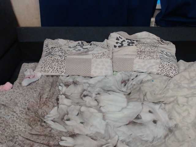 방송 스크린 샷 VikiMax69