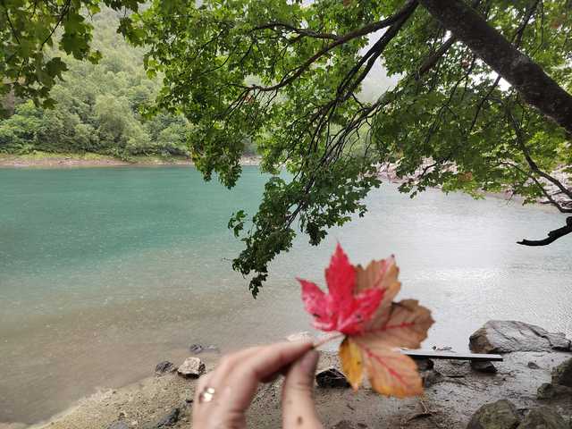 프로필 사진 _GoodGirl_