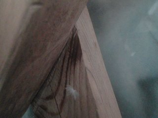 에로틱 한 영상 채팅 YasminaGeil