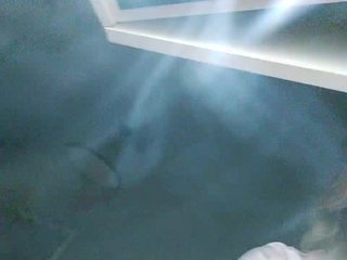 에로틱 한 영상 채팅 yuliia_3003