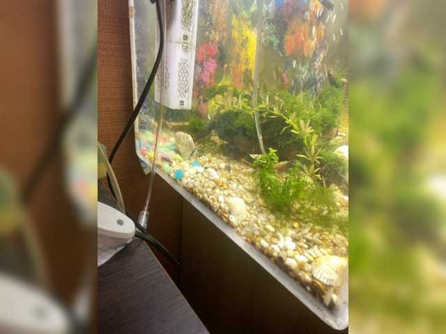 방송 스크린 샷 Zhozhoba69